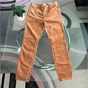 The skinny High Rise Regular Petite Jeans